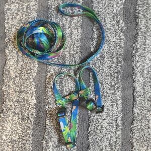 Colorful Cat Harness and Leash Set